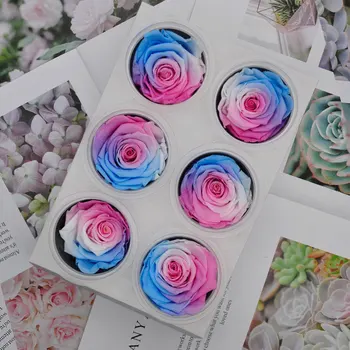 

6pcs/box Preserved Flower Immortal Rose Flower 5-6CM Mothers Day DIY Gift Eternal Life Flower Valentine Wedding Material