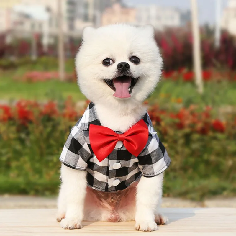 Red Bow Tie Dog Harness Leash Pet Dog Tuxedo Suit Clothes Gentleman Jacket 