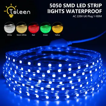 

220V LED Strip 5050 High Brightness 60pcs/m Flexible LED Light Indoor Outdoor Waterproof LED Strip Light With UK Plug 1M-20M