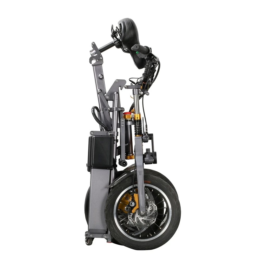 

E6-7 Ecorider 14" 350w bicycle double battery foldable Electric fat Bike with LED light for Adult