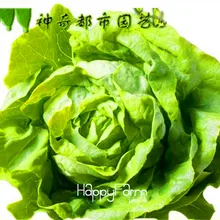 Лидер продаж! 100 завод/сумка в итальянском стиле Салат бонсай хороший вкус, легко растить, большой салат, «сделай сам» для дома и сада овощи,# OIFVQZ