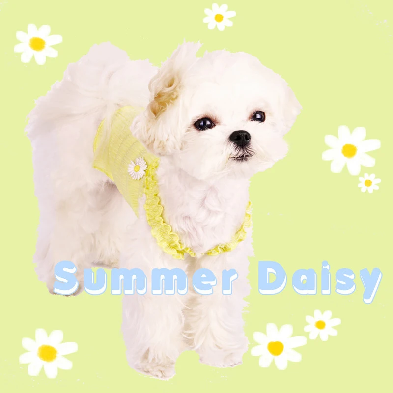 16483903465_742378298