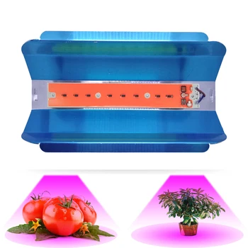 

LED grow light for plant vegetables fruits 30W 50W 80W full spectrum instead of sunlight growth lamp for indoor planting