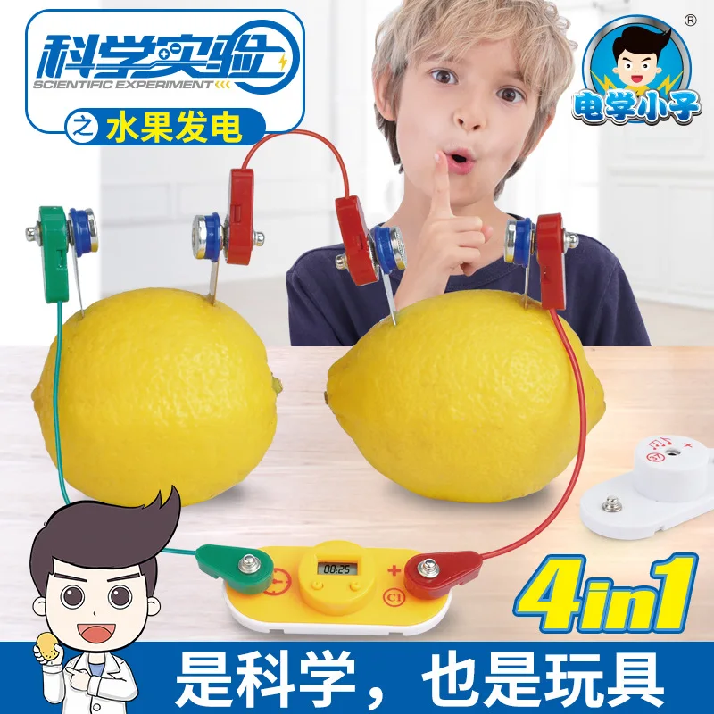 

Electronic Bricks Fruit Power Generation China Science Publishing & Media Ltd.(cspm) Teaching Aids Physics Electric Circuit Toy