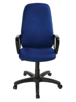

Chair head бюрократ ch-808axsn/tw-10 (blue tw-10)
