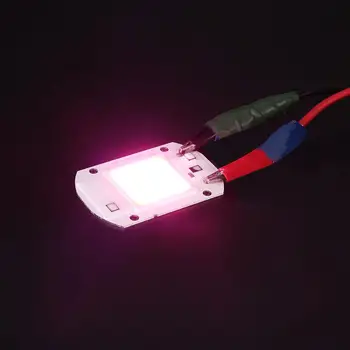 

Plant Growing Light LED COB Chip Plants for Plants LED Plant Light AC220V 20W 20W Bright Purple and Pink Flower 1600 Lm Garden