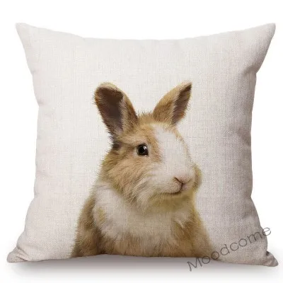 conew_t215 (20) 副本