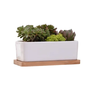 

2pcs Plant Pot with Tray Classical Useful Plant Holder Rectangle Plant Pot for Home Garden Office