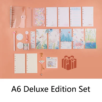 A6 Deluxe set Фламинго ins для девочек, блокнот со съемными листьями, с 6 отверстиями, с милыми пайетками, цветные страницы, дневник, костюм в подарок, A6 - Цвет: A6 Deluxe set