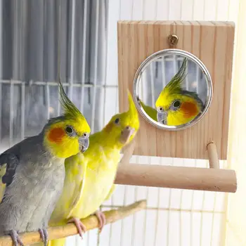 10 * 12 Cm Mirror Stand Pet Funny Parrot Bird Toy Mirror Toy Accessories  for Parrot Bird  Pet Parrot  Cage Pet Supplies 1