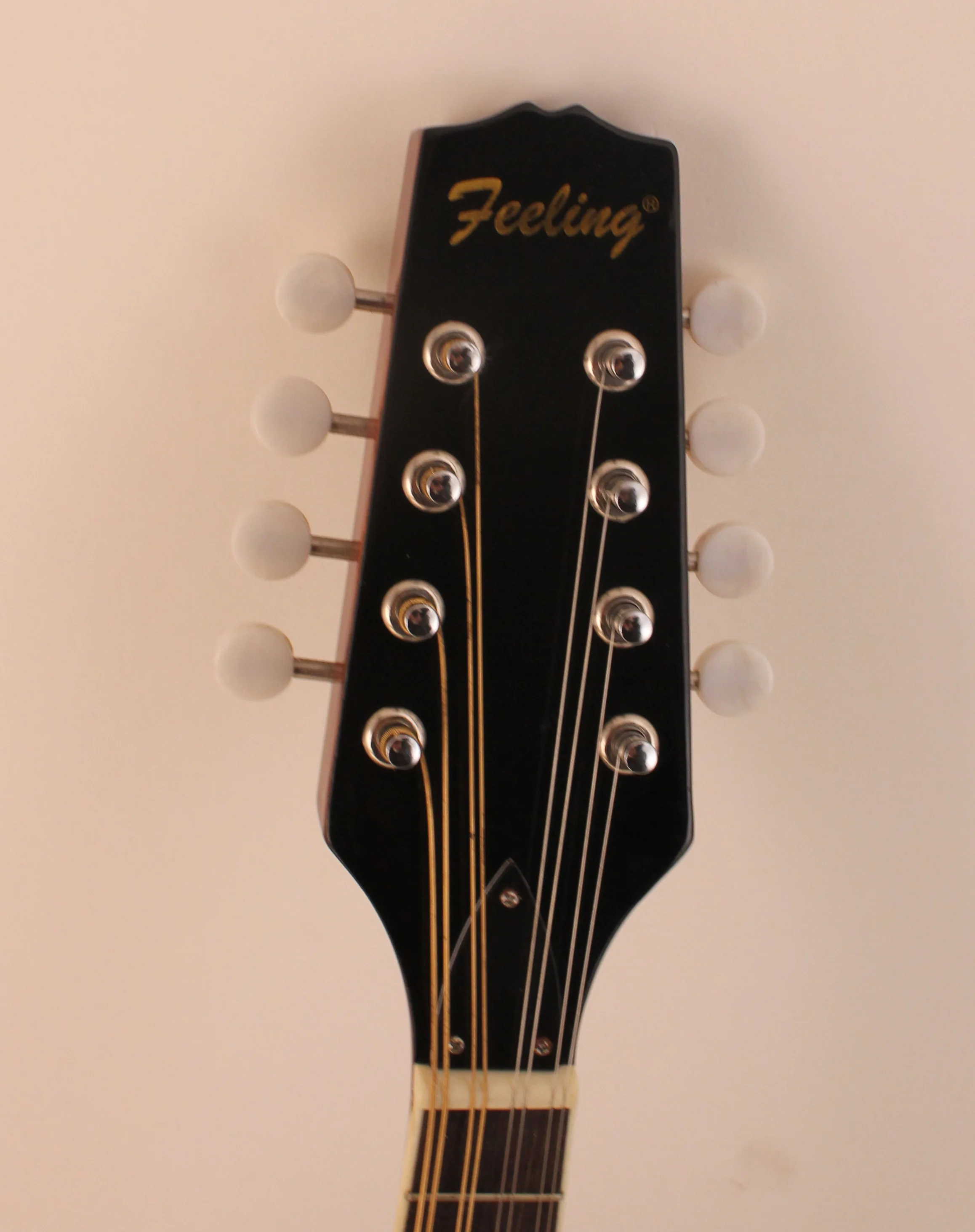 Мандолина, банджо FMB-12