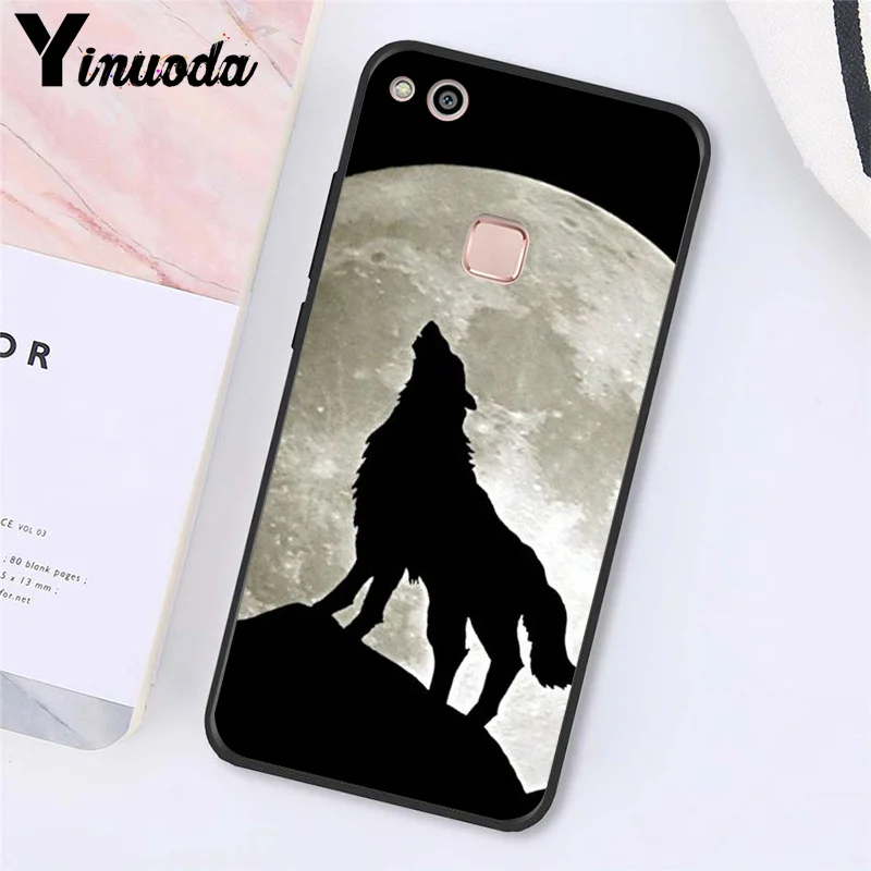 angry Animal wolf Face