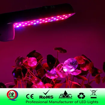 

1 - 10PCS Led Fitolampy 85-265V Growing Lamp UV IR Grow Bulb LED E27 Plant Light For Seedling Vegetables E26 Cultivo Indoor