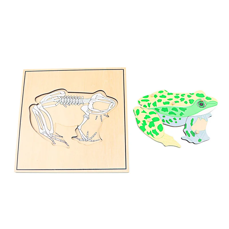 Children Educational Toys Montessori Materials Biology Wooden Skeleton Puzzle Frog Horse Tortiose Fish Bird Animal Toys for Boy educational toys