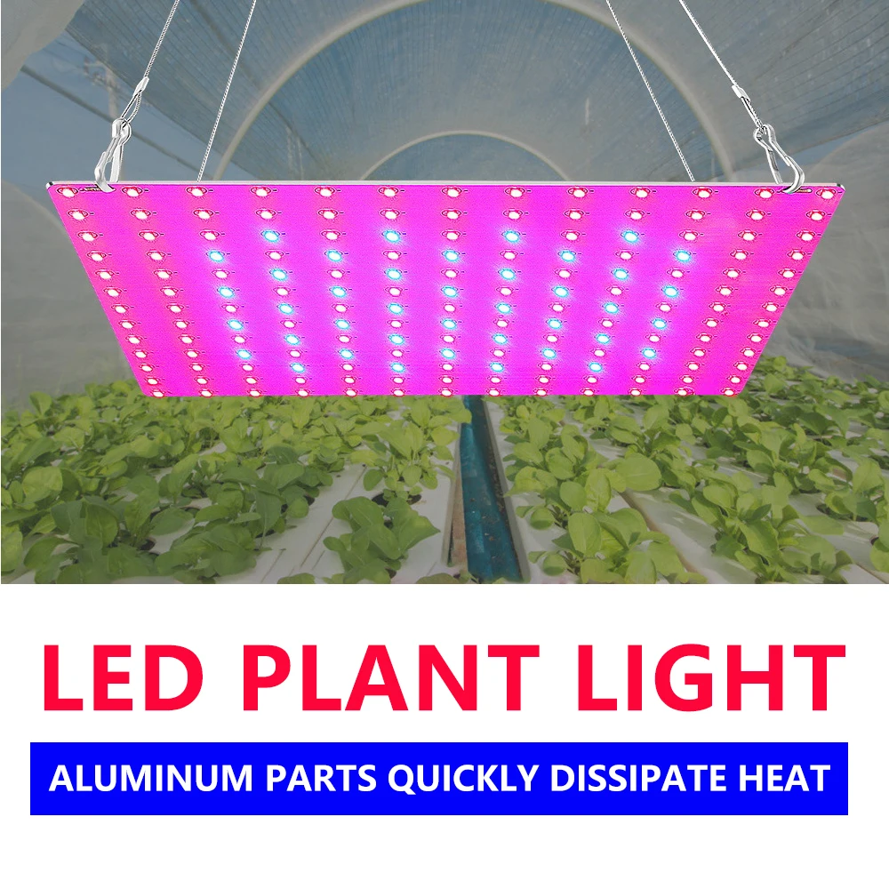 H0f43d9fbb67d4b2c8b9cc5b2ed2c80e6b