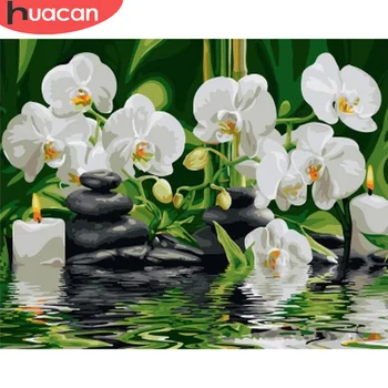 

HUACAN Pictures By Number Kits Home Decor DIY Paint By Number For Adults Drawing On Canvas HandPainted Art Gift Flower