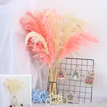 1 шт. сушеные растения пампасы трава натуральный Phragmites свадебный цветок букет сырой розовый цвет Рождественский подарок