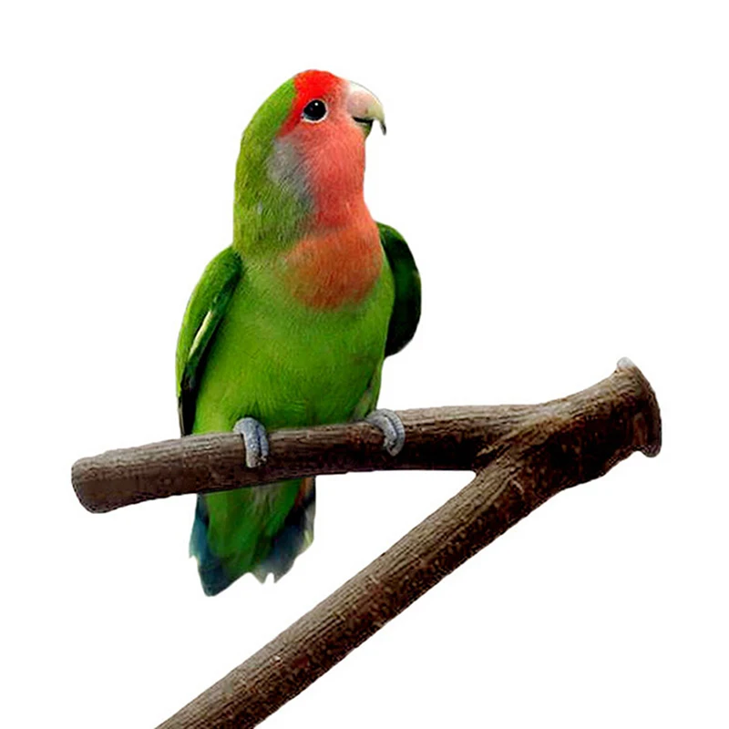 Title 2, 15cm Pet Parrot Raw Wood Fork Stand Rack Toy Ha...