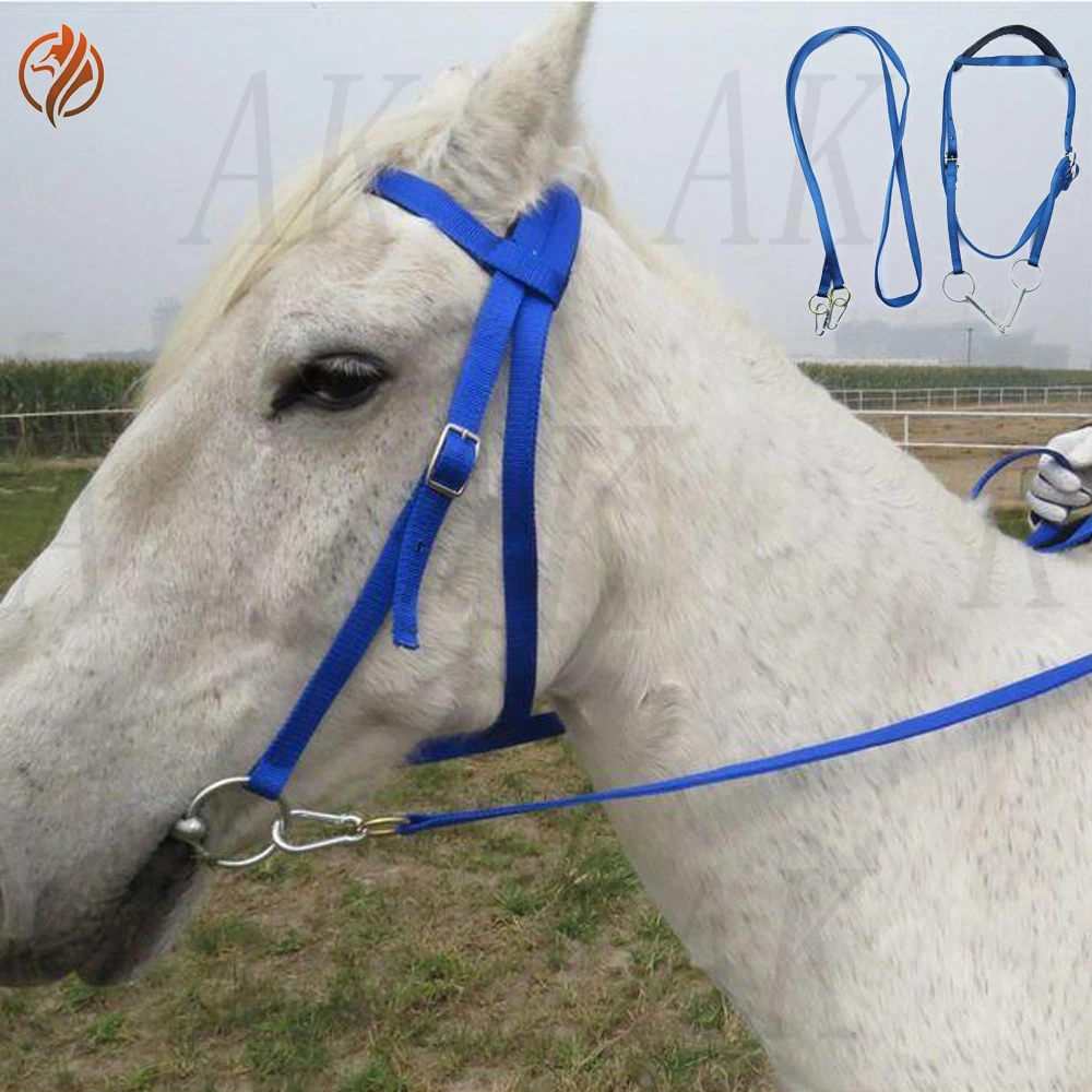 Horse Bridle Equestrian Lead Cage Set Horse Dragon Head Harness Supplies Horse Equipment Handling Halters Aliexpress