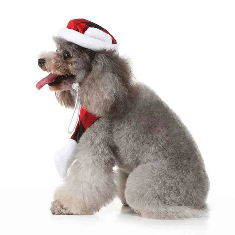 HQJ91023575_0209530041720523189