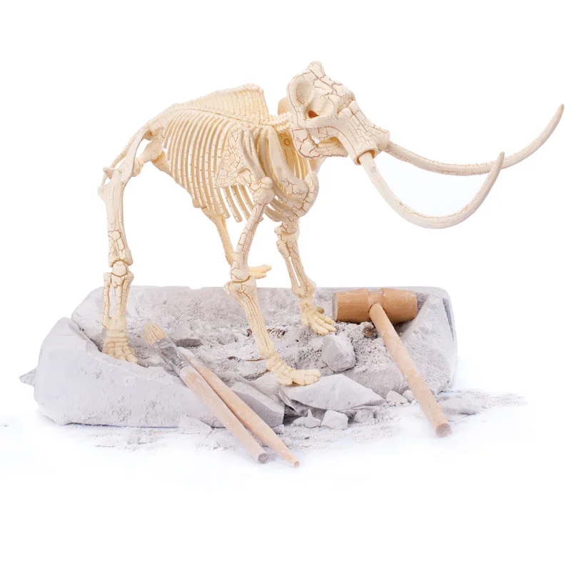 

T-Rex Dinosaur Archeology Dinosaur Fossil Dinosaur Unisex Children'S Educational DIY Shenzhen Assembled Model Bone