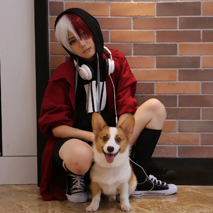 Todoroki dog costume Clearance