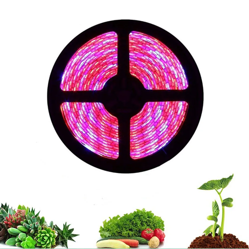 led grow light strip 5M 5050 Full Spectrum Flower Plant Phyto Growth lamp  for indoor Greenhouse Hydroponic grows lights 12V tent|LED Grow Lights| -  AliExpress