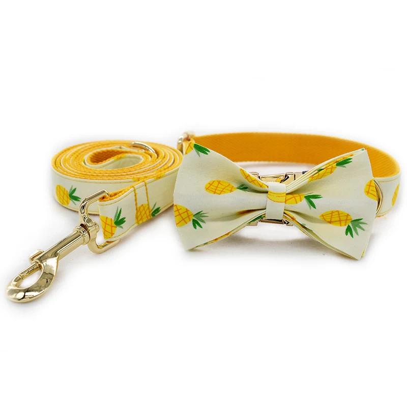 

Fruit Design Dog Leash and Collar Set Exceptionally Elegant and Adjustable in Different Lengths Perfect for Medium Large Dog