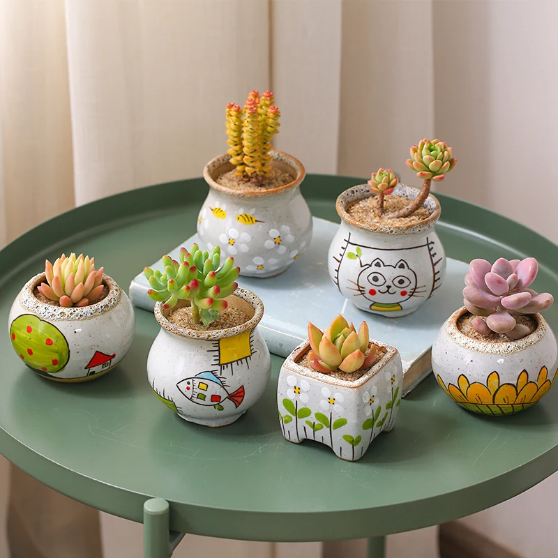 

Meat Plant Pot Creative Meat Hand Painted Small Fresh Multi-meat Pot Personality Ceramic Pots Desktop Valentine's Day Gift
