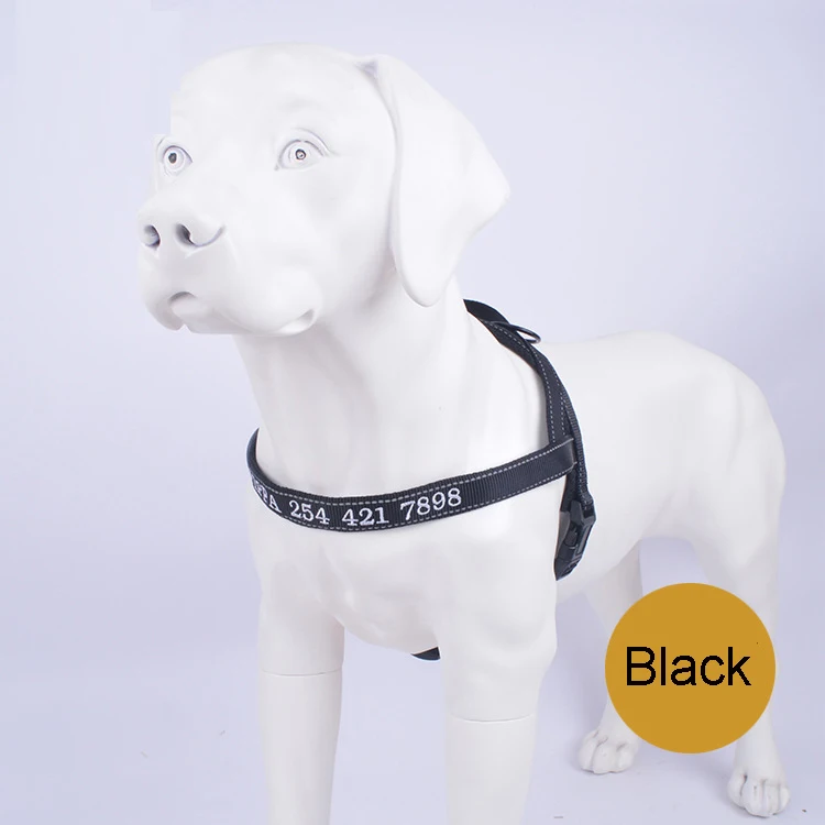 9399365830_2096751904