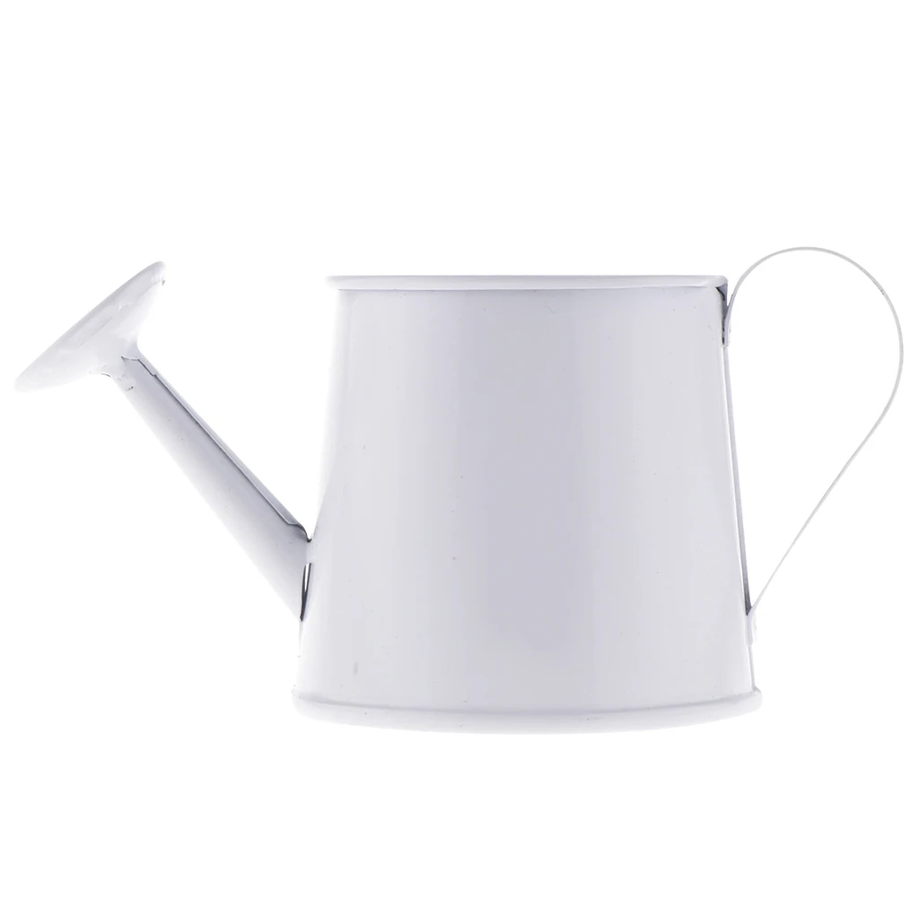 Mini Metal Iron Watering Can, Iron Pitcher Flower Vase, Garden Flower Pot Plant Planter Home Decor