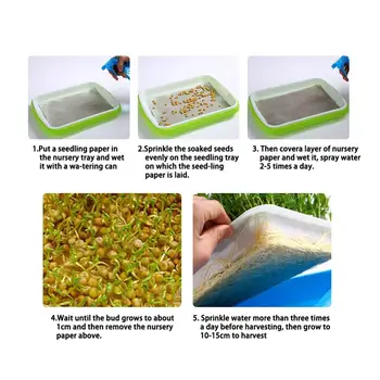 

Double-layer Plastic Hydroponic Flower Basket Flower Plant Sprouting Tray Box Sprout Seedling Tray Paper Planting Sprout