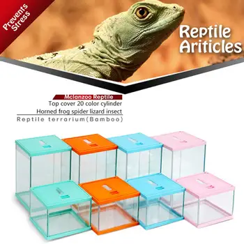 

2020 New Reptile Glass Terrarium Natural Safe Pet Climbing Feeding Box For Lizard Insect Frog