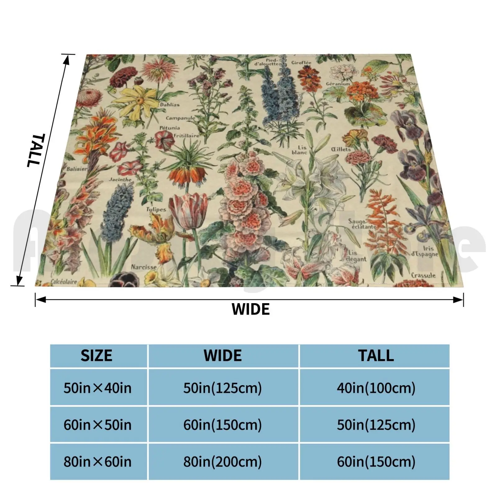 ��Ƽ�� �� ������ ��� ���� ħ�� ���� Fleurs Adolphe Millot �ڿ� �� ��Ƽ�� �Ĺ� ��������