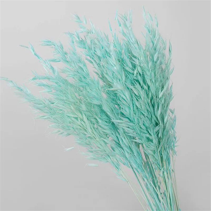 QQ截图20200425205937