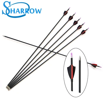 

6Pcs30inch Hunting Arrow Spine 1000 Archery 6MM Training Carbon Arrows Turkey Feathers High Quality Composite Carbon Fiber Shaft