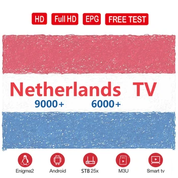 

tV Netherlands Smart World Tv box Dutch-sub scripiom For Mag 254 256 Android TV Box no app include