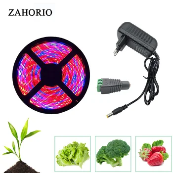 

Plant Grow lights 5m Waterproof Full Spectrum LED Strip Flower phyto lamp Red blue 4:1 for Greenhouse Hydroponic+Power adapter
