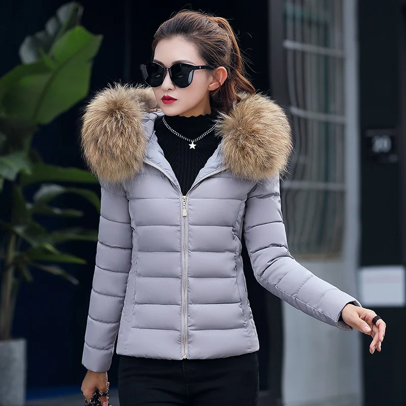 

2019 Winter Korean-style New Style WOMEN'S Cotton Padded Clothing Female Short Leisurely Slim Fit Cotton-padded Jacket Large Fur