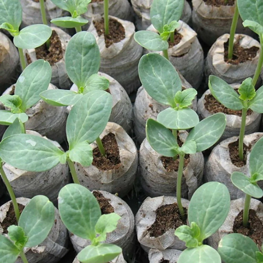 30mm Jiffy Peat Pellets Seeding Soil Block In Nursery Pots Seed Starting Plugs Professional Home Garden Tools