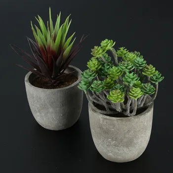 

2Pcs Retro Decorative Faux Succulent Artificial Succulent Fake Simulation Plants with Pots (Dark Aeonium and Red Gladiolus)