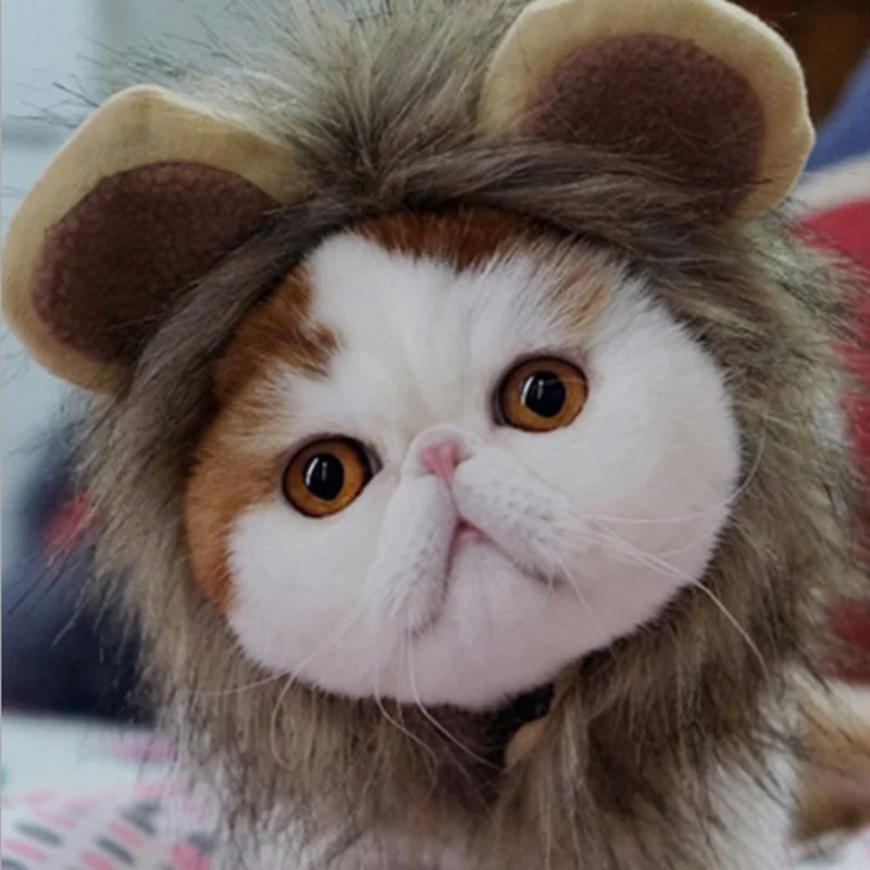 Забавный милый костюм для домашних животных косплей парик льва шапка для кошки Хэллоуин Рождественская одежда нарядное платье с ушками осень зима