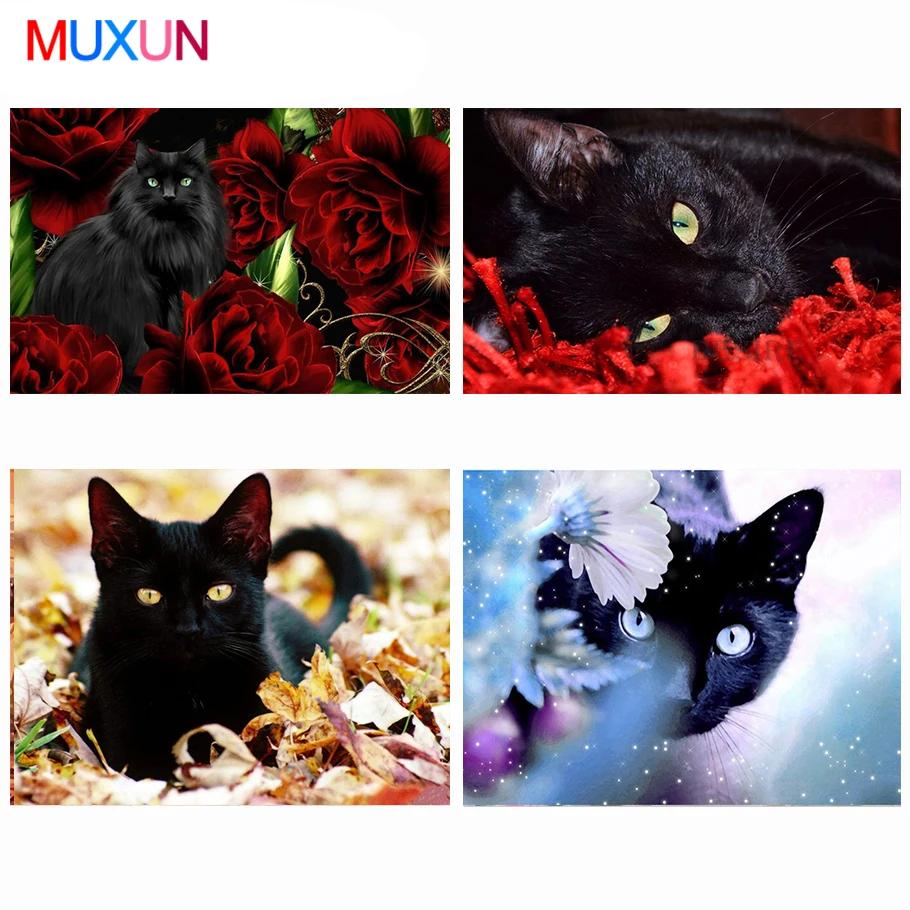 Hddd66d62a28d4fbd808c1fdc4b66d087r