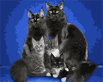 

PAINTBOY Cats Framed DIY Painting By Numbers Painting&Calligraphy Acrylic Painting Wall Art Home Decor For Living Room