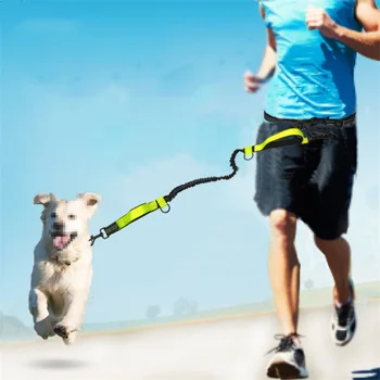 

Upgraded Retractable Hands Free Dog Leash For Running Dual Handle Bungee Leash Reflective For Large Dogs Free Bag Dispenser