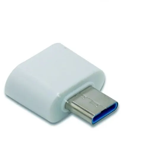 type white Мини OTG USB кабель OTG адаптер Micro USB конвертер USB для планшетных ПК Android note book type c зарядная игра - Название цвета: type white