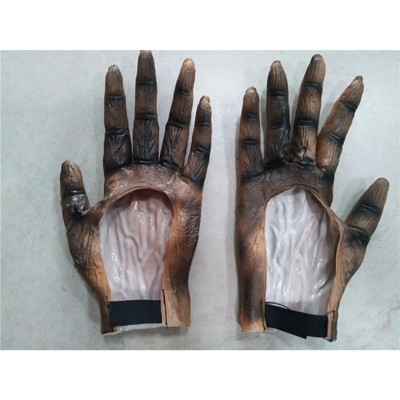 11490461970_464290017