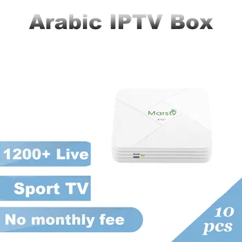 

10 pcs Best Arabic IPTV Box Fr/Africa/UK/Swedish/Arabic IPTV channels 1200+ Live TV free DHL shipping IPTV Arabic Server
