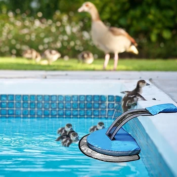 

Critter Safe Save Tool Escape Network Swimming Escape Channel Small Animal Pool for Animal Easily Saving Ornaments