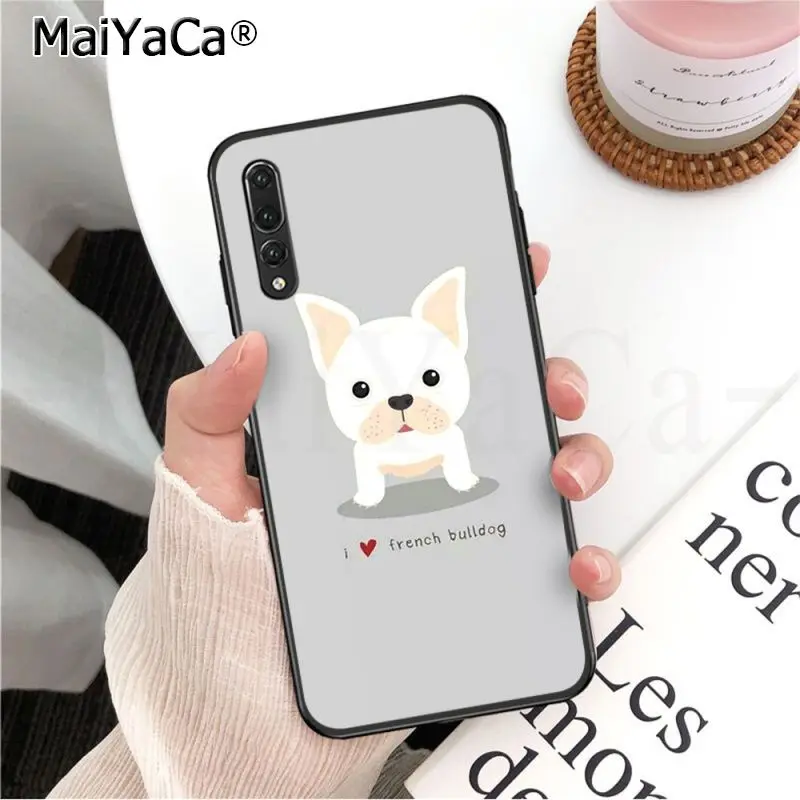 Frenchies Pretty puppy Pug Bulldog